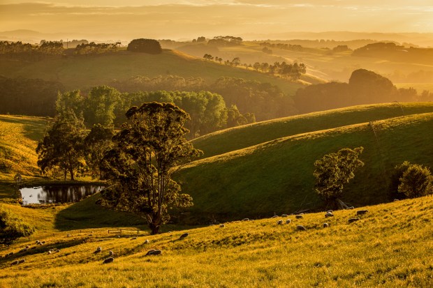 Gary Beresford Photo-100