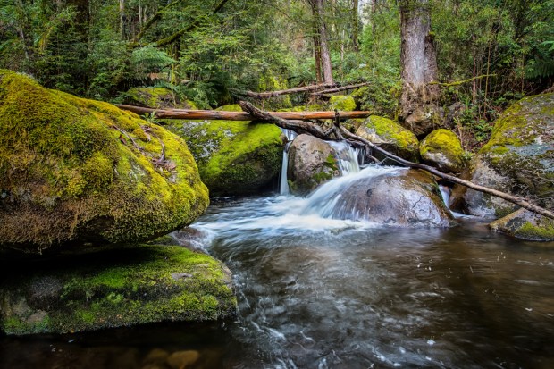 Gary Beresford Photo-104