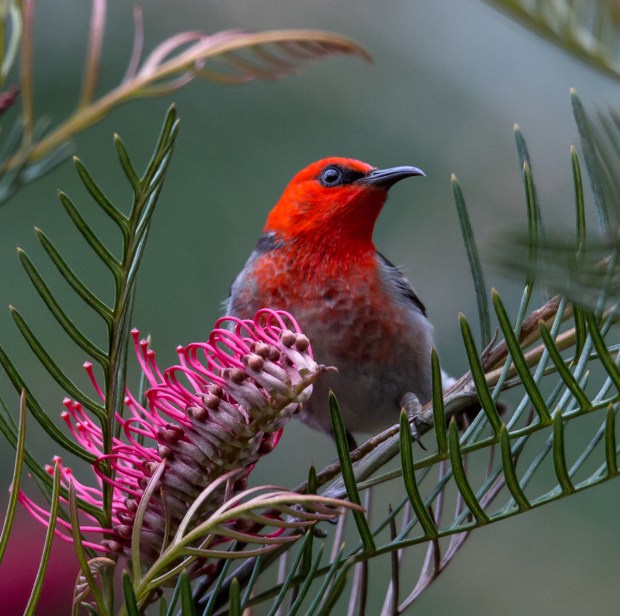 Gary Beresford Photo-108