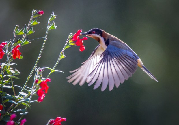 Gary Beresford Photo-110