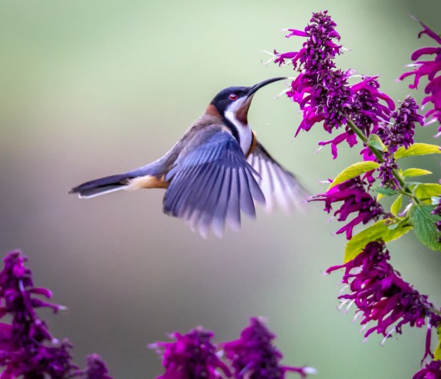 Gary Beresford Photo-111