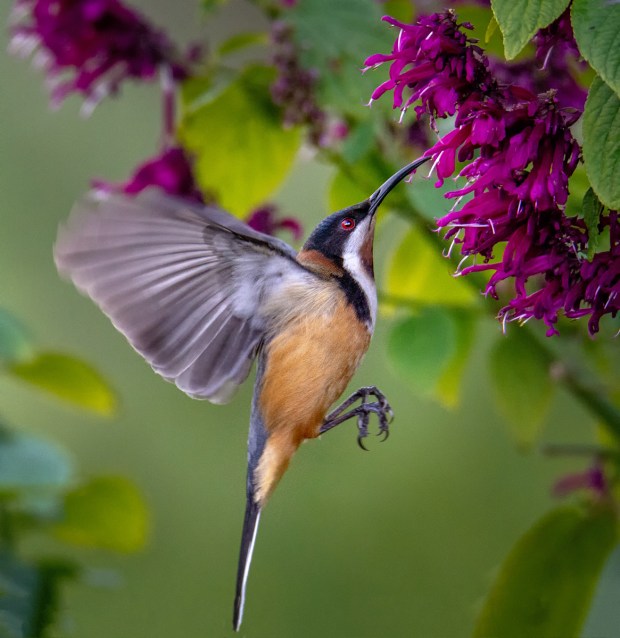 Gary Beresford Photo-113