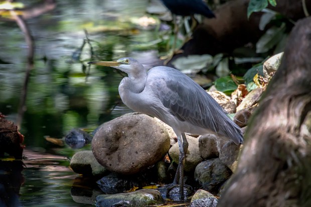 Gary Beresford Photo-114