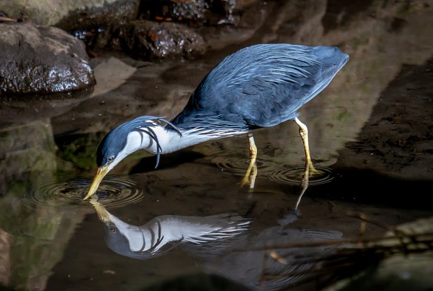 Gary Beresford Photo-115