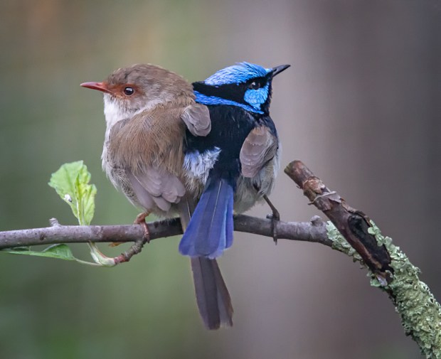 Gary Beresford Photo-117