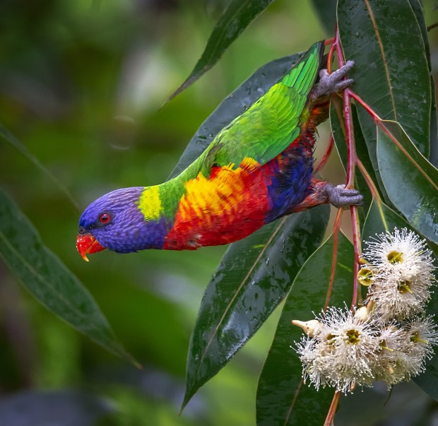 Gary Beresford Photo-118