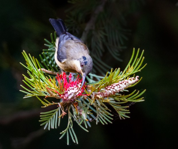 Gary Beresford Photo-120