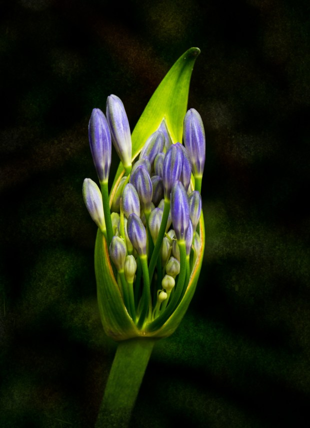 Gary Beresford Photo-122