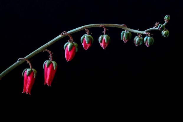 Gary Beresford Photo-123