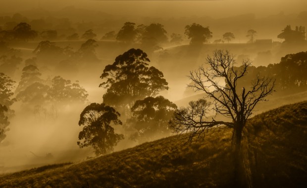 Gary Beresford Photo-124