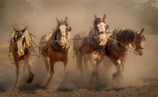 Gary Beresford Photo-125