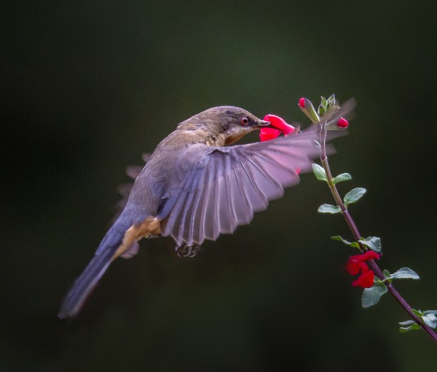 Gary Beresford Photo-126