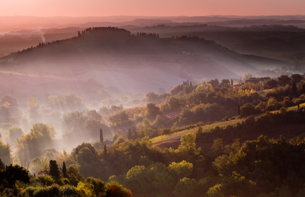 Gary Beresford Photo-13