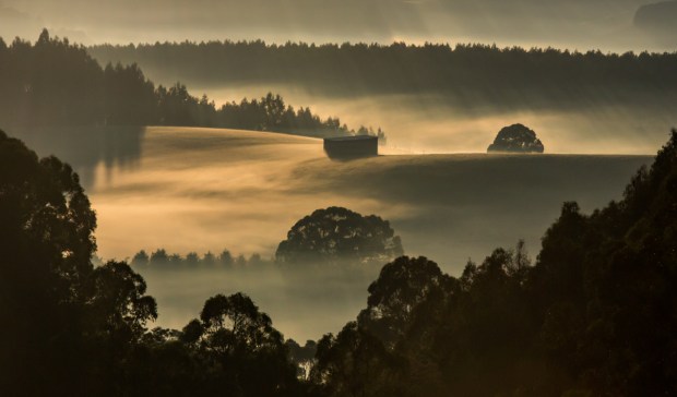 Gary Beresford Photo-135