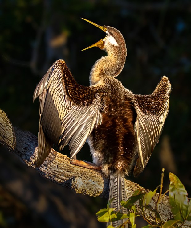 Gary Beresford Photo-148