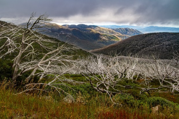 Gary Beresford Photo-17