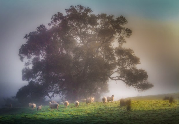 Gary Beresford Photo-19