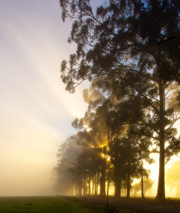 Gary Beresford Photo-21