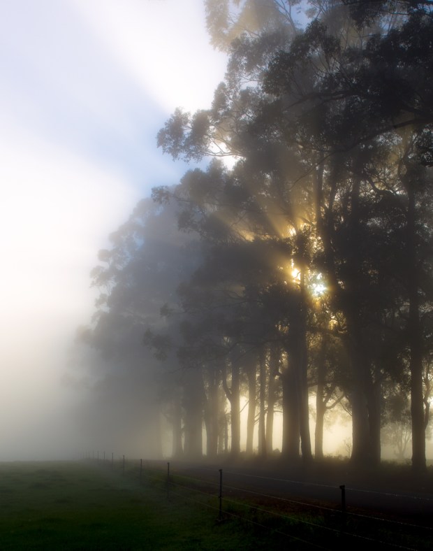 Gary Beresford Photo-22