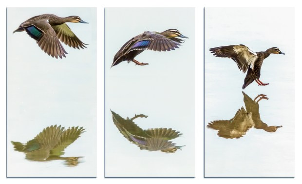 Gary Beresford Photo-23