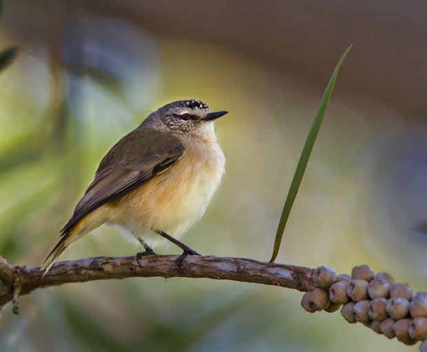 Gary Beresford Photo-25