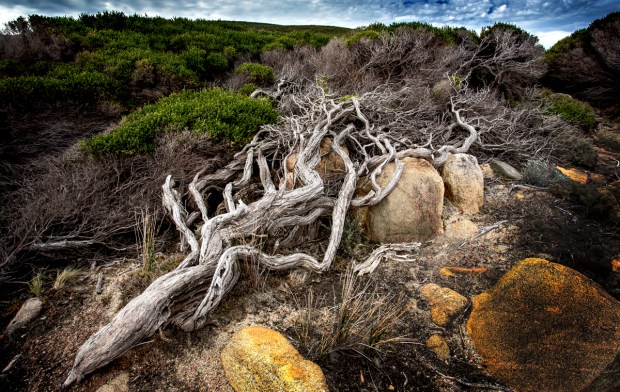 Gary Beresford Photo-26