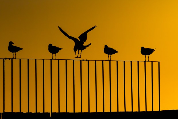 Gary Beresford Photo-27