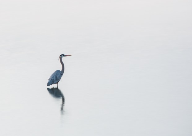 Gary Beresford Photo-28