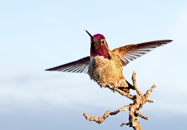 Gary Beresford Photo-29