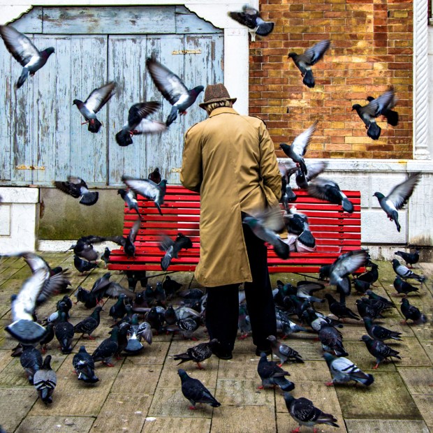 Gary Beresford Photo-3