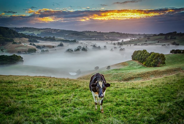 Gary Beresford Photo-31