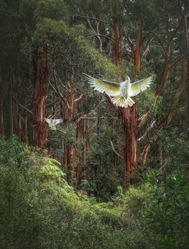 Gary Beresford Photo-32