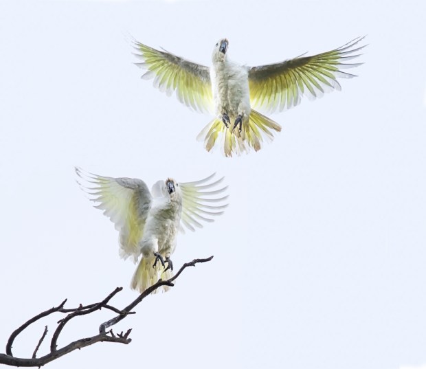 Gary Beresford Photo-38