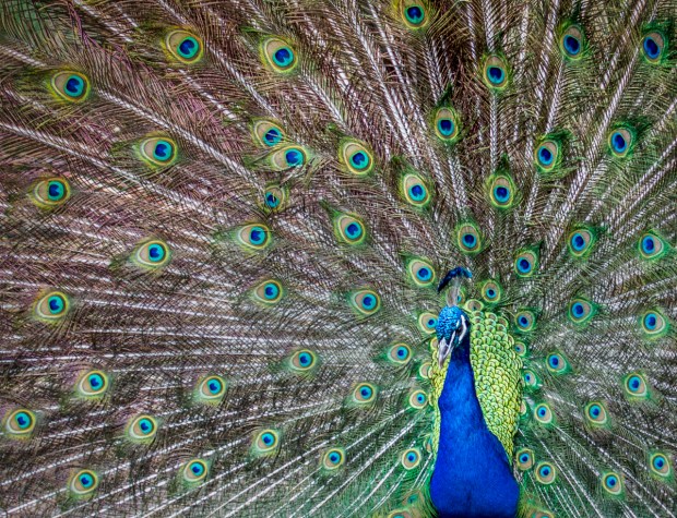 Gary Beresford Photo-42