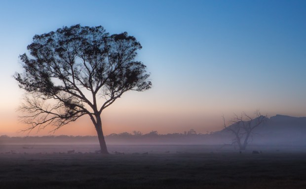 Gary Beresford Photo-43