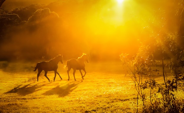 Gary Beresford Photo-45