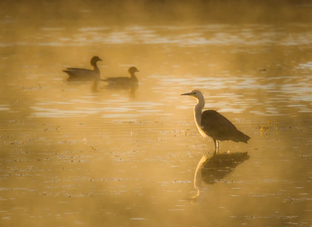 Gary Beresford Photo-46