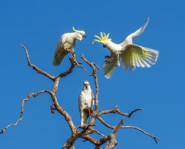 Gary Beresford Photo-47