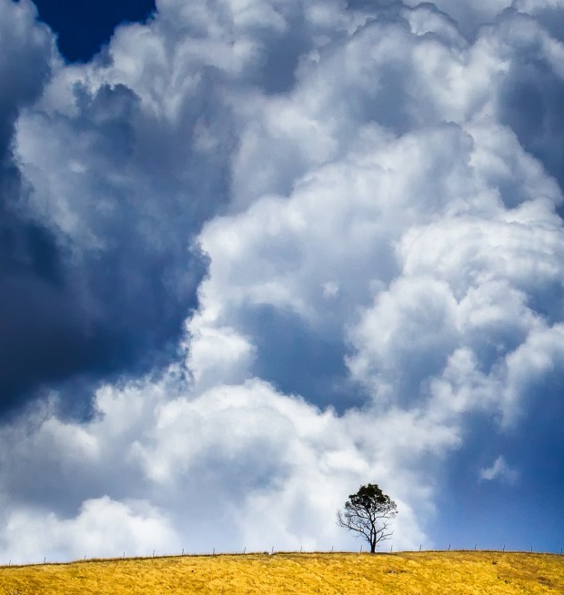 Gary Beresford Photo-48