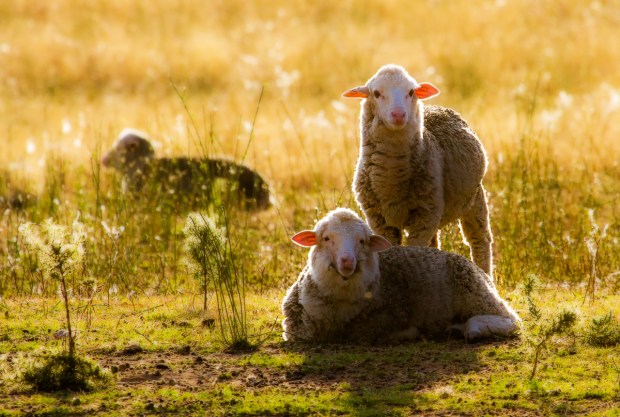 Gary Beresford Photo-49