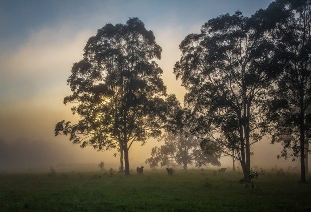 Gary Beresford Photo-53