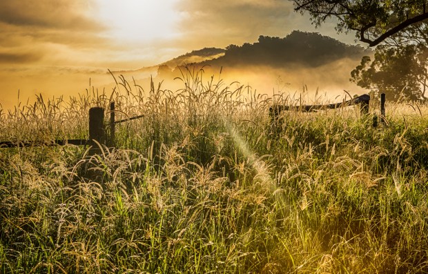 Gary Beresford Photo-54