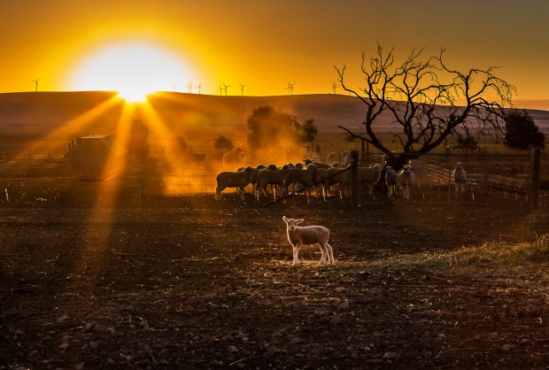 Gary Beresford Photo-57