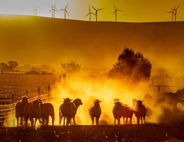 Gary Beresford Photo-58