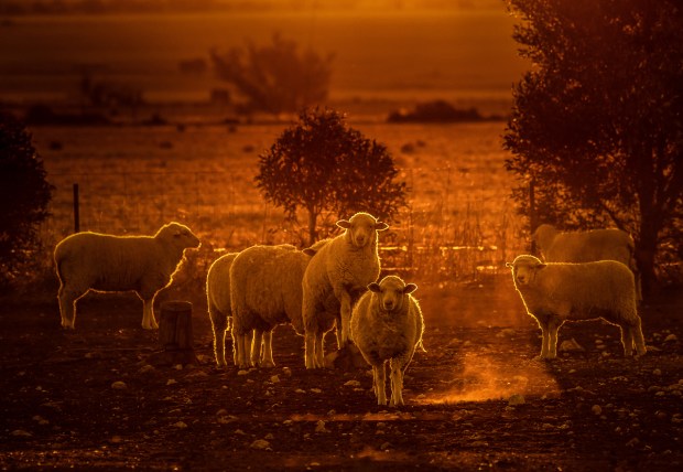 Gary Beresford Photo-60