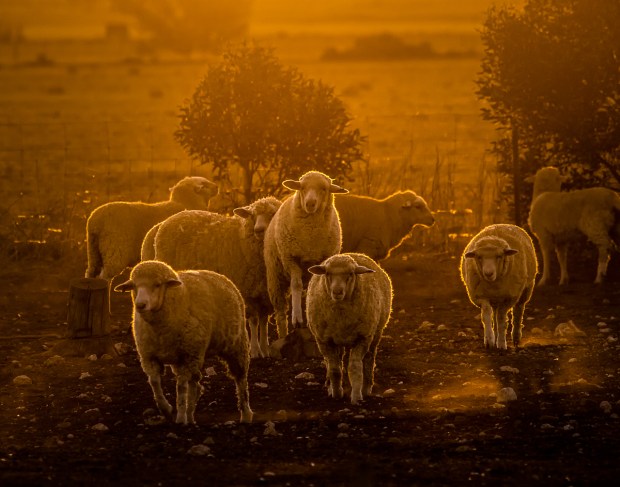 Gary Beresford Photo-61