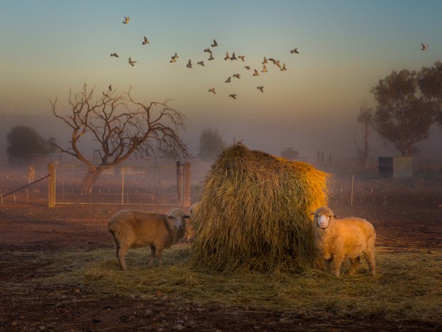 Gary Beresford Photo-63