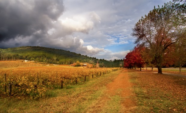 Gary Beresford Photo-64