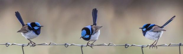 Gary Beresford Photo-66