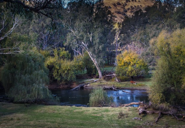 Gary Beresford Photo-67